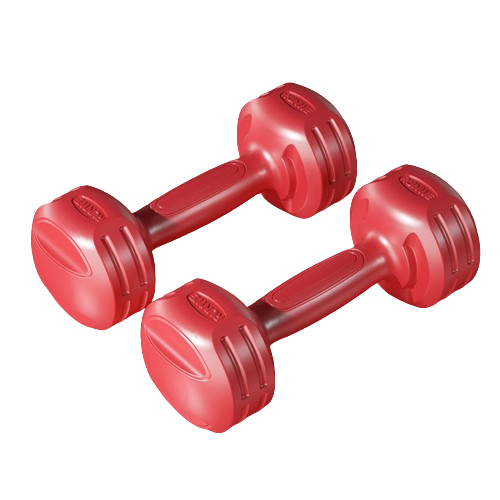 Home Dumbbells